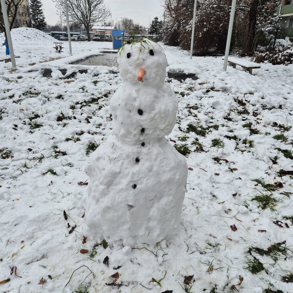 Zimowe zabawy na śniegu (1)