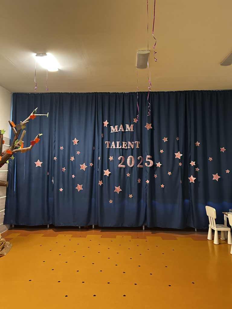 Mam talent 2