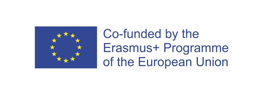 Image Logo erasmus